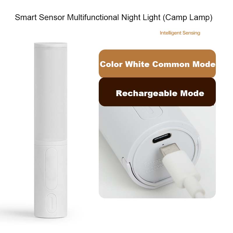 Smart Human Body Induction Motion Sensor LED