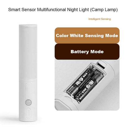 Smart Human Body Induction Motion Sensor LED