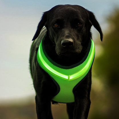 LED Luminous Dog Harness Led USB Charging Dog Chest