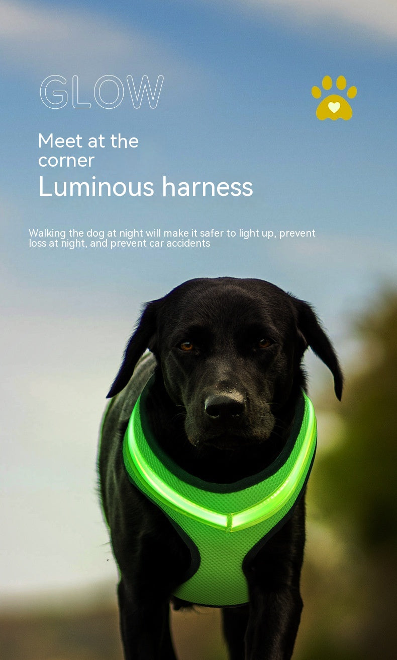 LED Luminous Dog Harness Led USB Charging Dog Chest