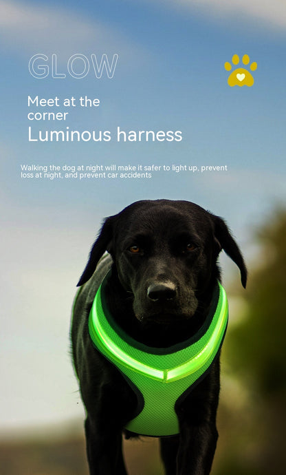 LED Luminous Dog Harness Led USB Charging Dog Chest